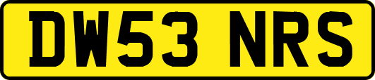 DW53NRS