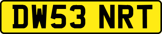DW53NRT