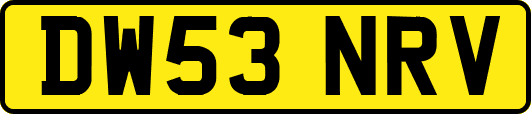 DW53NRV