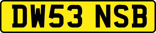 DW53NSB
