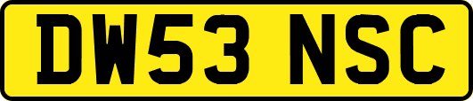 DW53NSC