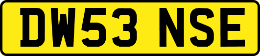DW53NSE