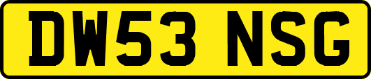 DW53NSG