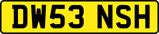 DW53NSH