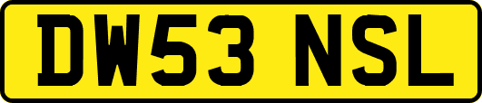 DW53NSL