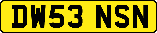 DW53NSN