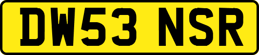 DW53NSR