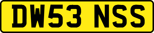 DW53NSS