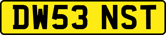 DW53NST