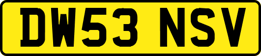 DW53NSV