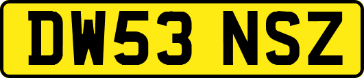 DW53NSZ