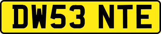 DW53NTE