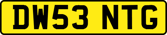 DW53NTG