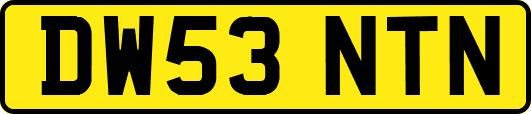 DW53NTN