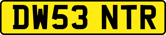 DW53NTR