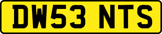 DW53NTS