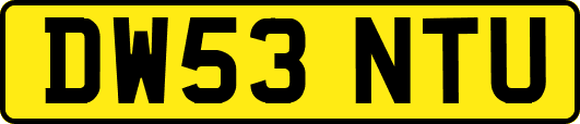 DW53NTU