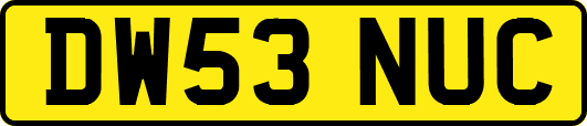 DW53NUC