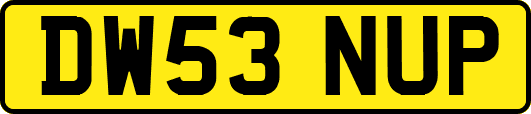 DW53NUP