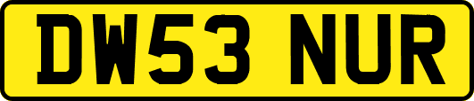 DW53NUR
