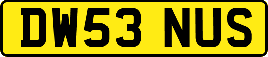 DW53NUS