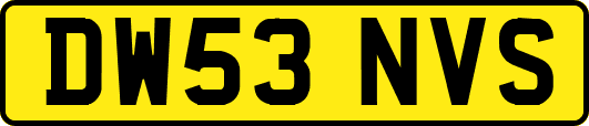 DW53NVS