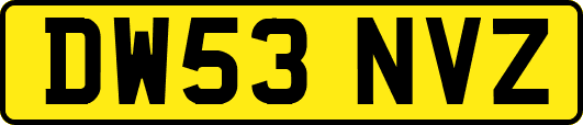 DW53NVZ