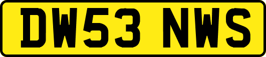 DW53NWS