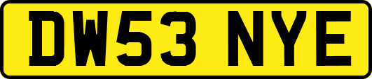 DW53NYE