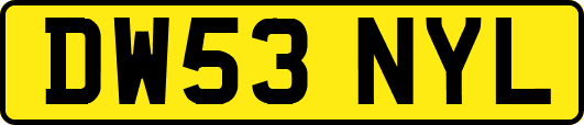 DW53NYL