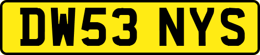 DW53NYS