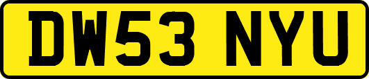 DW53NYU