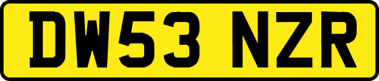 DW53NZR