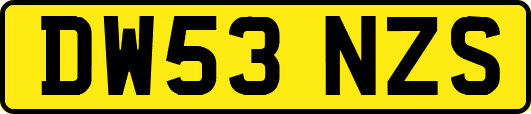 DW53NZS