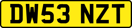 DW53NZT