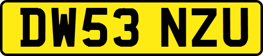 DW53NZU