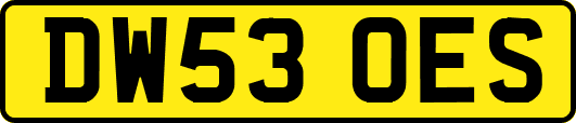 DW53OES