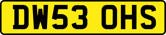 DW53OHS