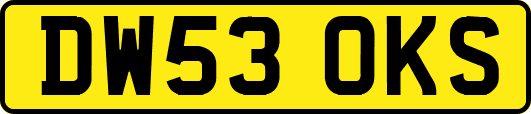 DW53OKS