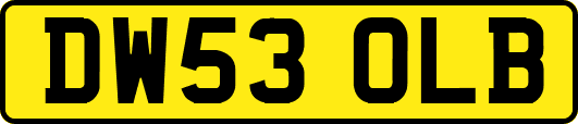 DW53OLB