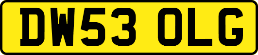 DW53OLG