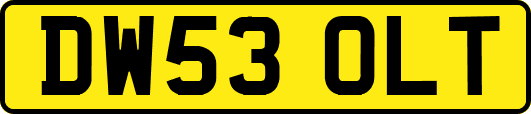 DW53OLT