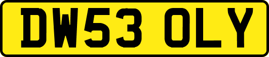 DW53OLY