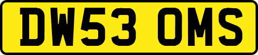 DW53OMS