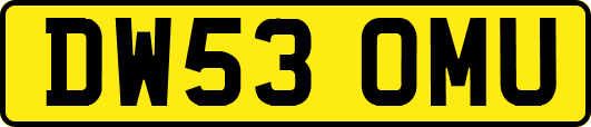 DW53OMU