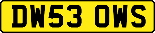 DW53OWS