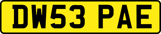 DW53PAE