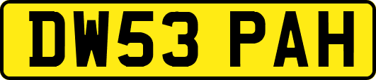 DW53PAH