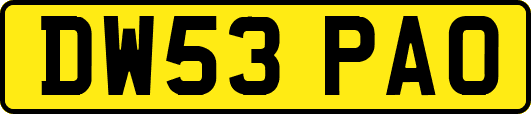 DW53PAO
