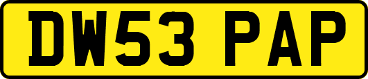 DW53PAP